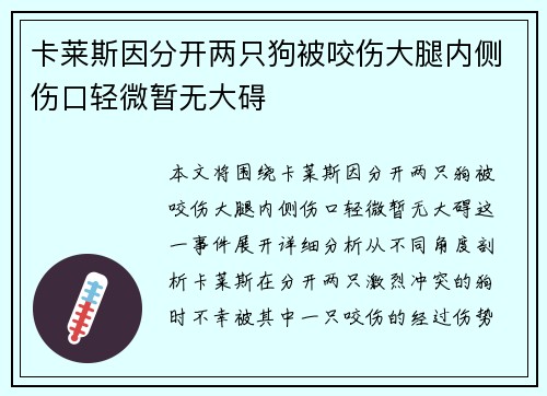 卡莱斯因分开两只狗被咬伤大腿内侧伤口轻微暂无大碍